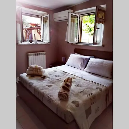 Tinyturtleshome Apartman *