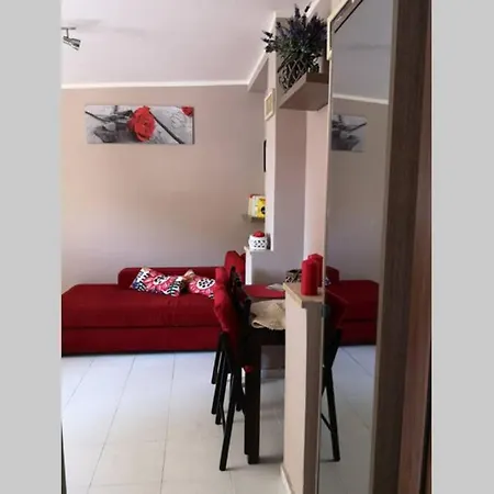 Tinyturtleshome * Róma